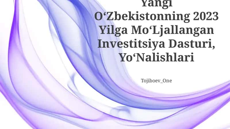 Yangi OʻZbekistonning 2023 Yilga MoʻLjallangan Investitsiya Dasturi, YoʻNalishlari