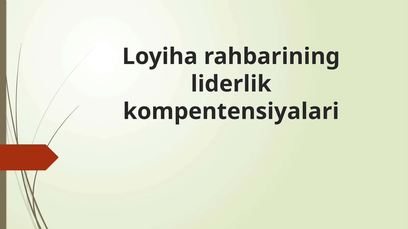 Loyiharahbarining liderlik kompetensiyalari