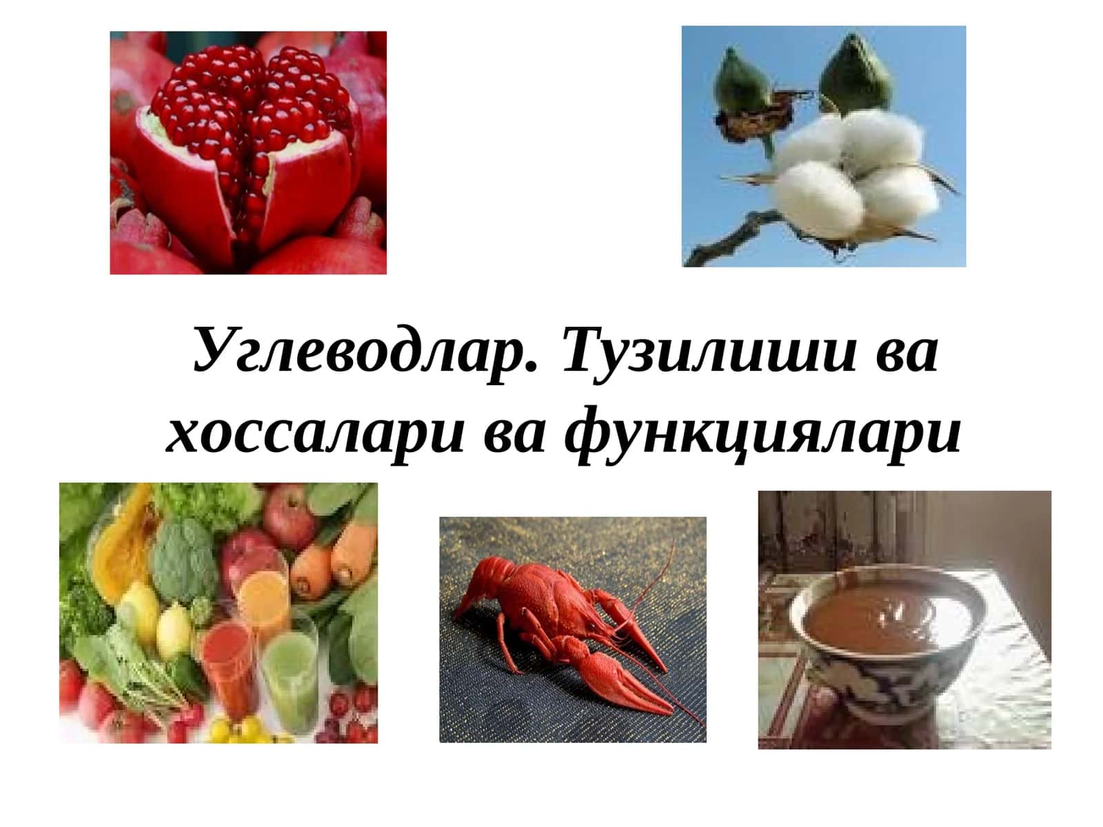Углеводлар. Тузилиши ва хоссалари ва функциялари