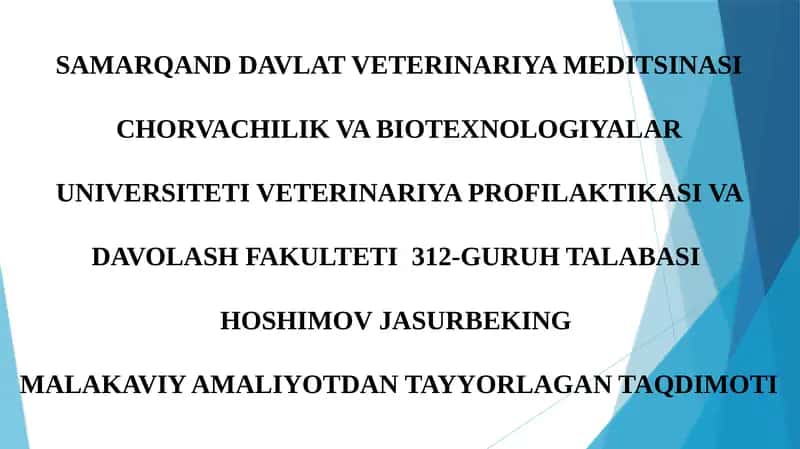Veterinariya Profilaktikasi va Davolash Taqdimoti