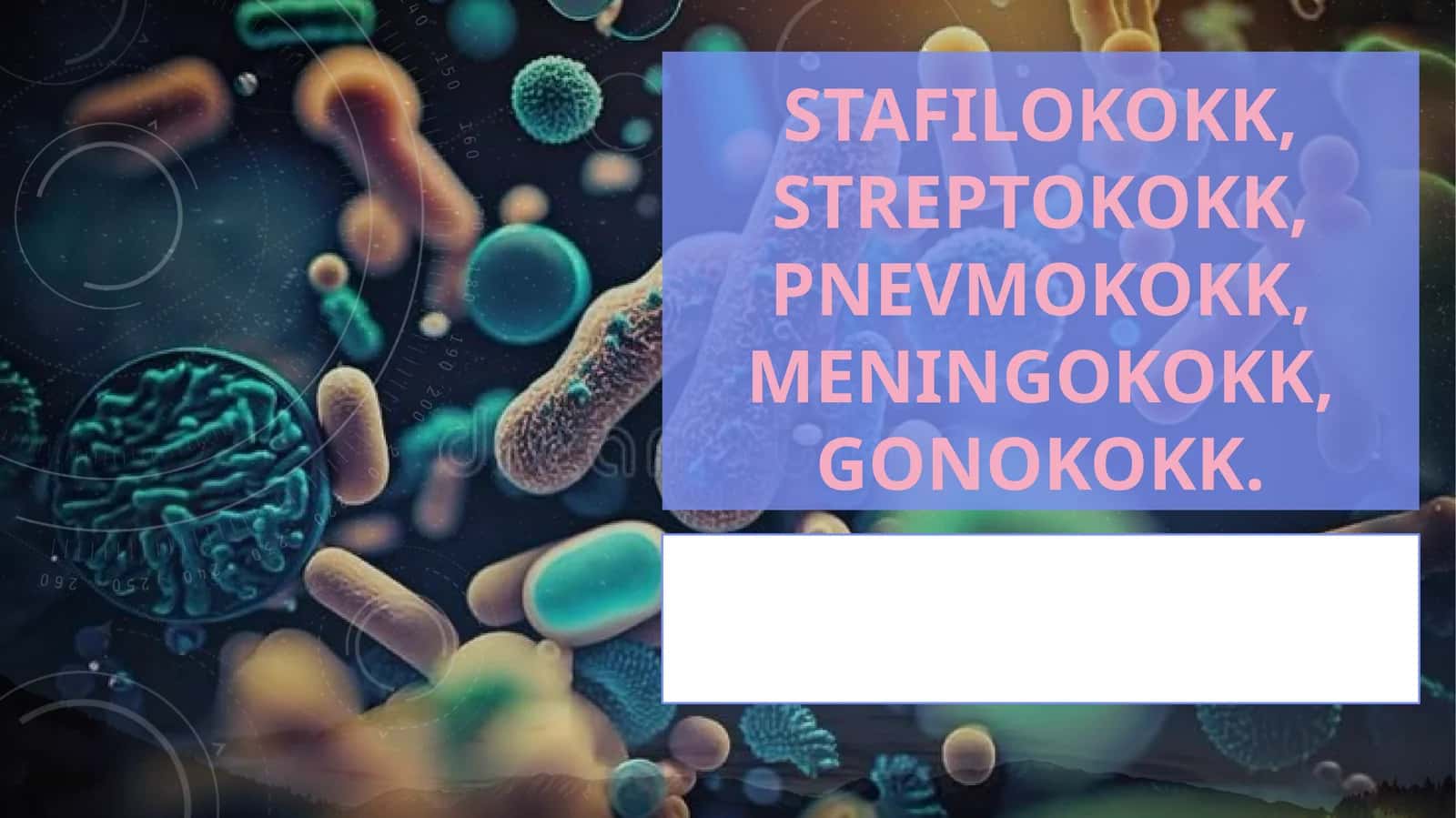 Stafilokokk, Streptokokk, pnevmokokk, meningokokk, gonokokk