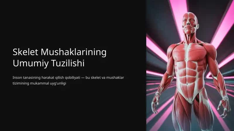Skelet Mushaklarining Umumiy Tuzilishi