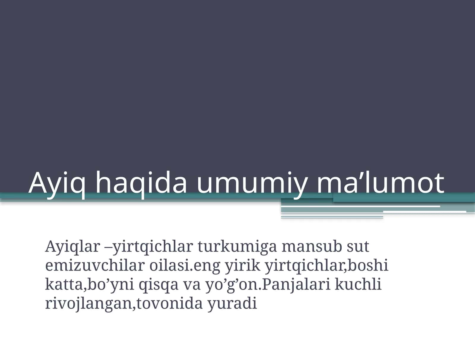 Ayiq haqida umumiy ma’lumot