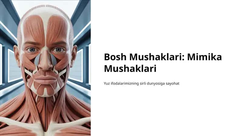 Bosh Mushaklari: Mimika Mushaklari