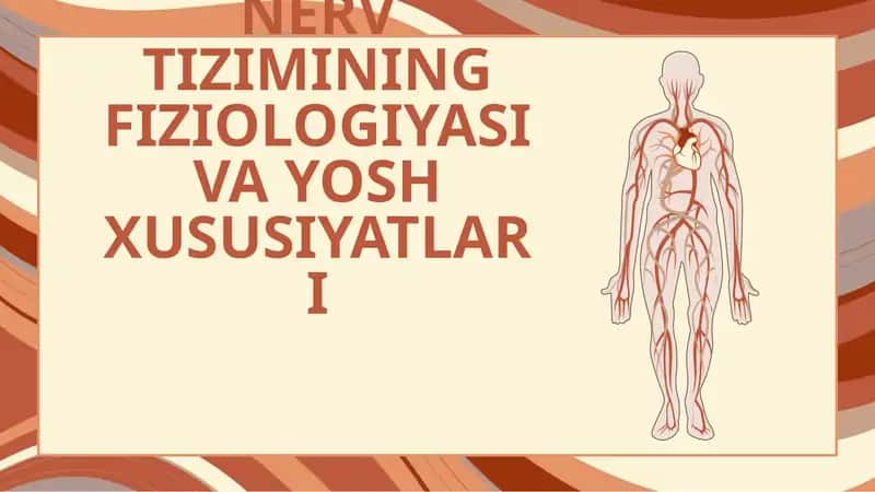 NERV TIZIMINING FIZIOLOGIYASI VA YOSH XUSUSIYATLARI
