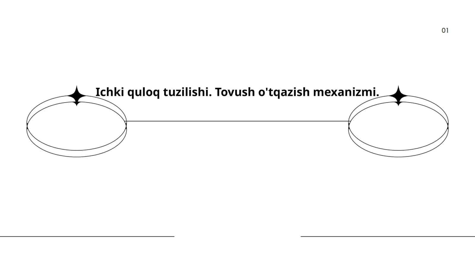 Ichki quloq tuzilishi
