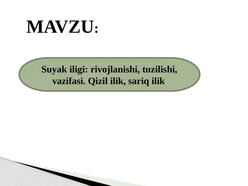 Suyak iligi rivojlanishi, tuzilishi, vazifasi. Qizil ilik, sariq ilik.