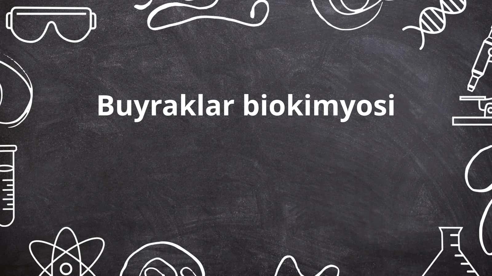Buyraklar biokimyosi
