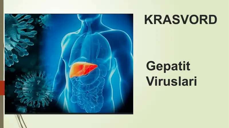 Gepatit Viruslari