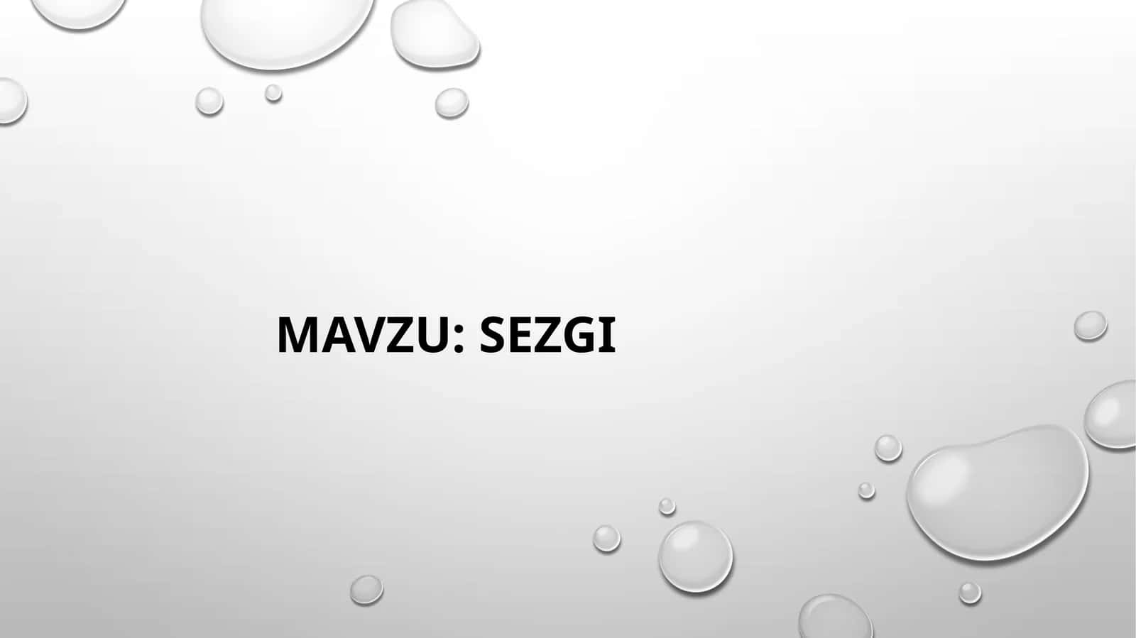 SEZGI