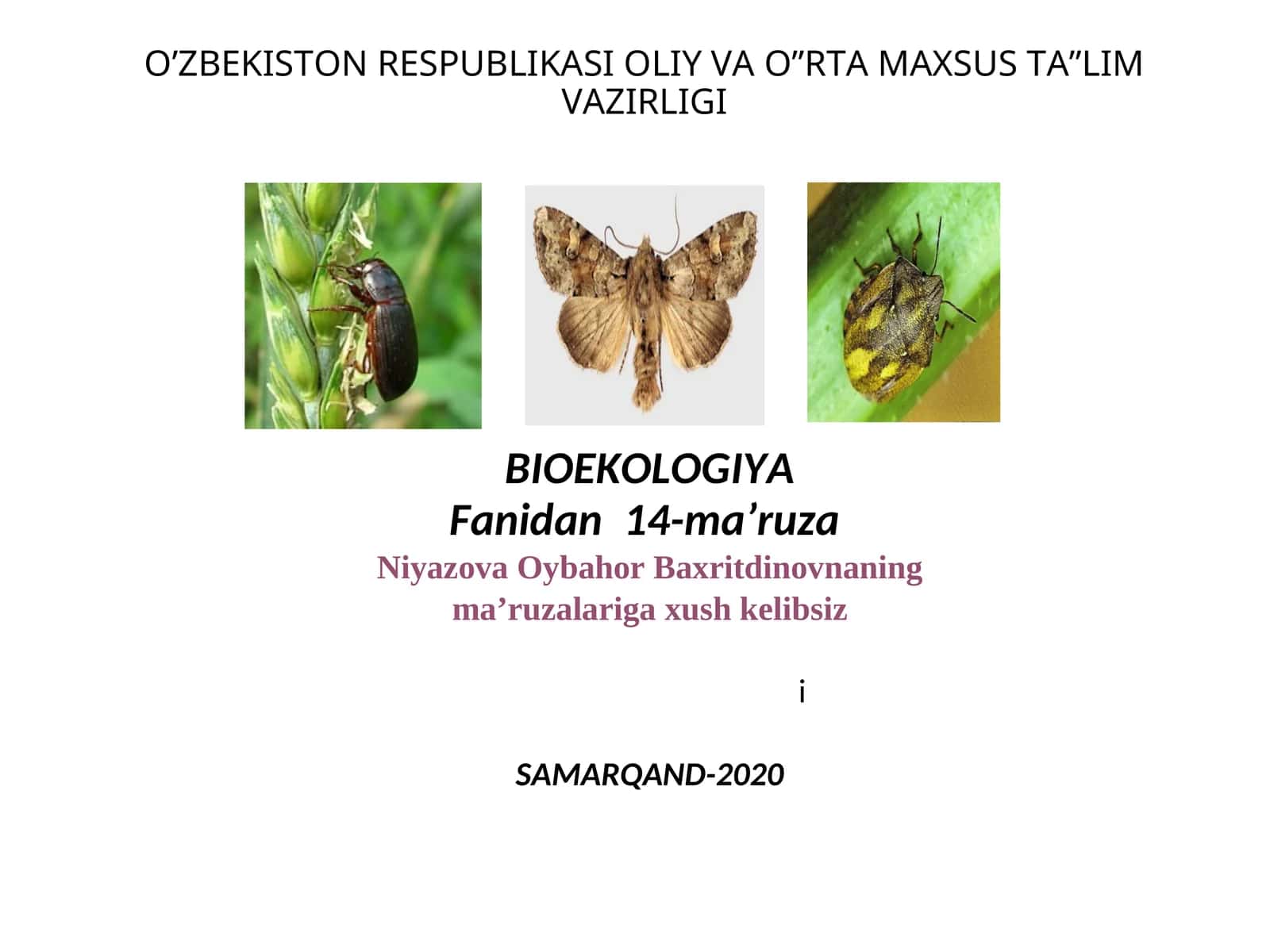 BIOEKOLOGIYA Fanidan 14-ma’ruza