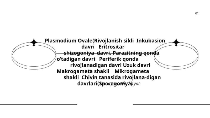 Plasmodium Ovale