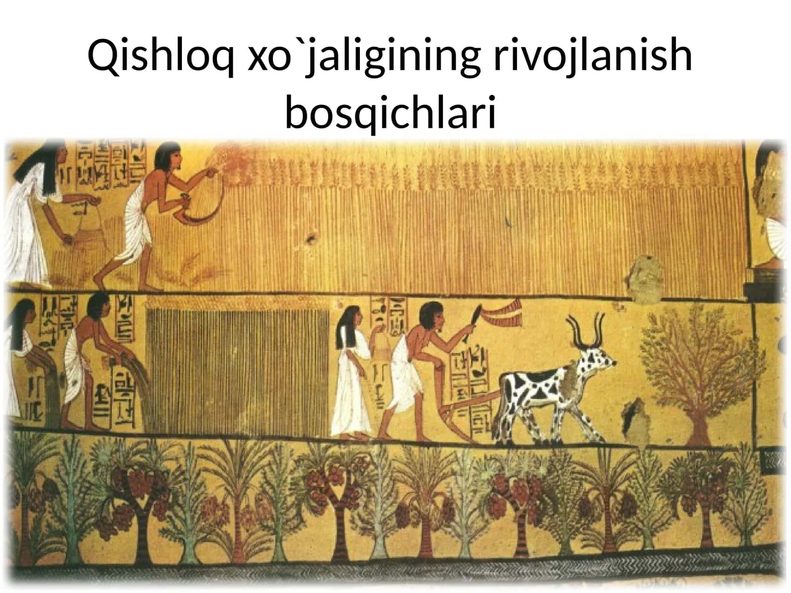 Qishloq xo`jaligining rivojlanish bosqichlari