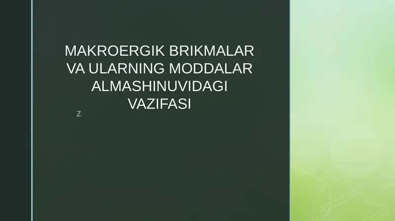 MAKROERGIK BRIKMALAR VA ULARNING MODDALAR ALMASHINUVIDAGI VAZIFASI