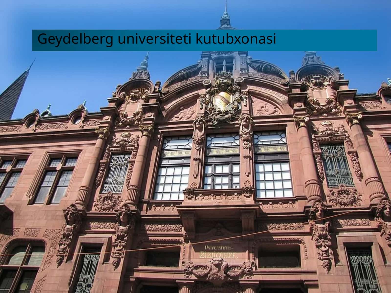 Geydelberg universiteti kutubxonasi