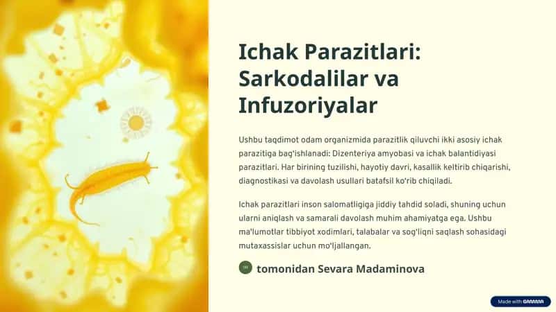 Ichak Parazitlari: Sarkodalilar va Infuzoriyalar