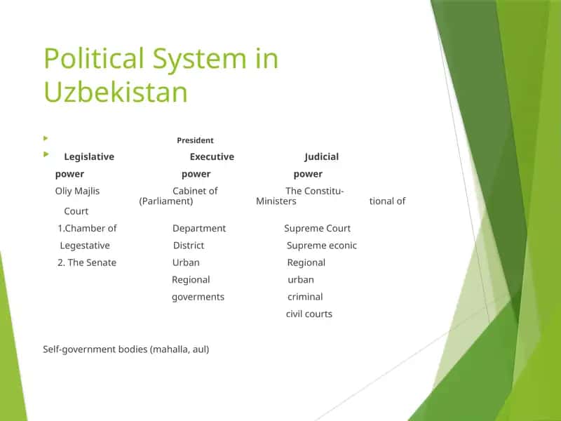 Political System in Uzbekistan