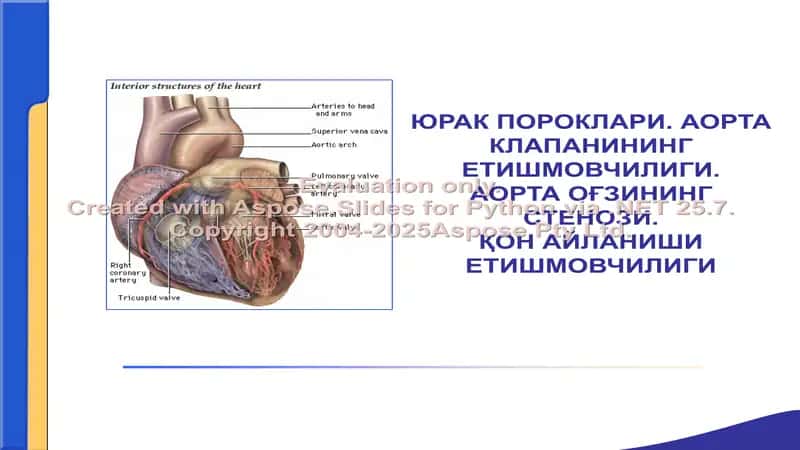 Аорта клапанининг етишмовчилиги