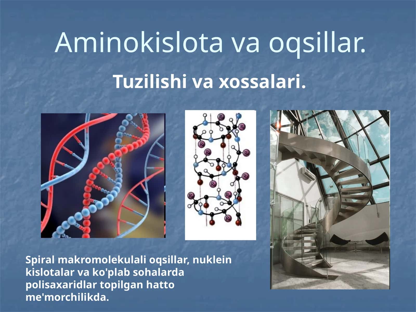 Aminokislotlar