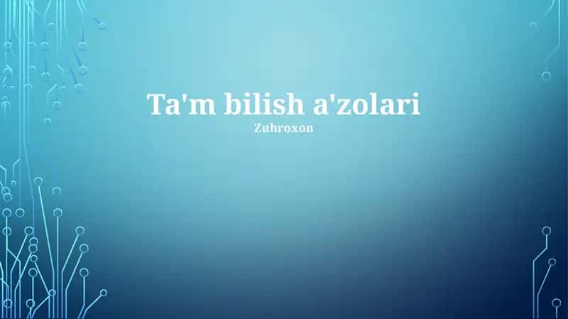Ta'm bilish a'zolari