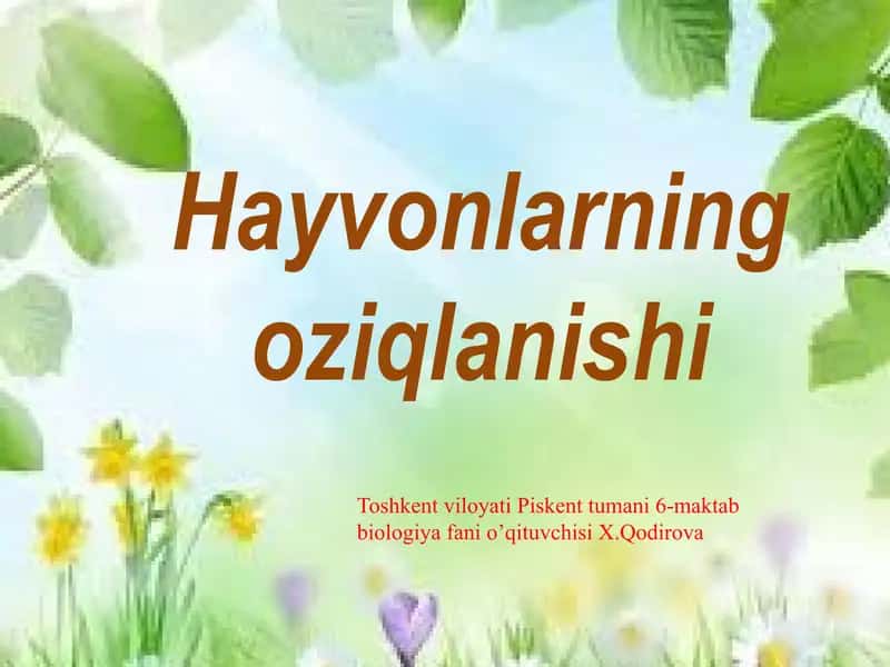 Hayvonlarning ayrish va jinsiy organlar evolutsiyasi