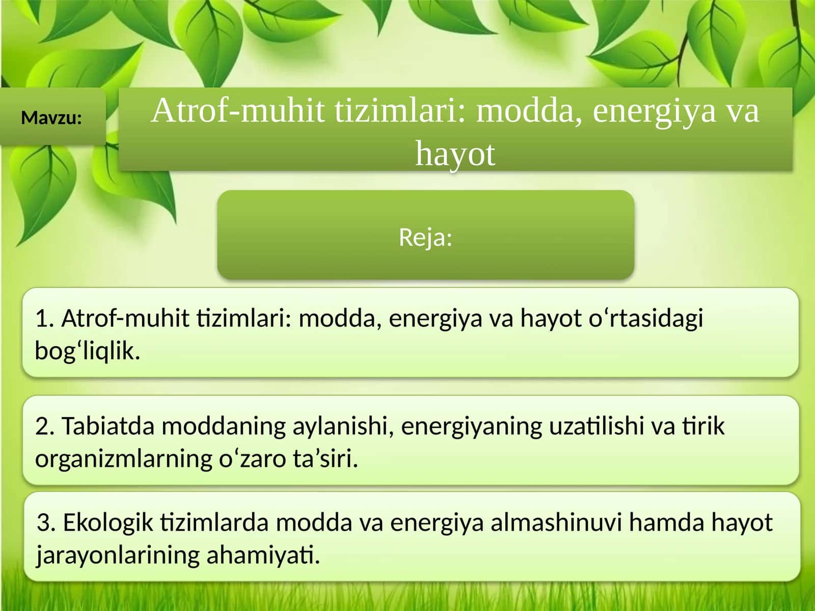Atrof-muhit tizimlari modda, energiya va hayot