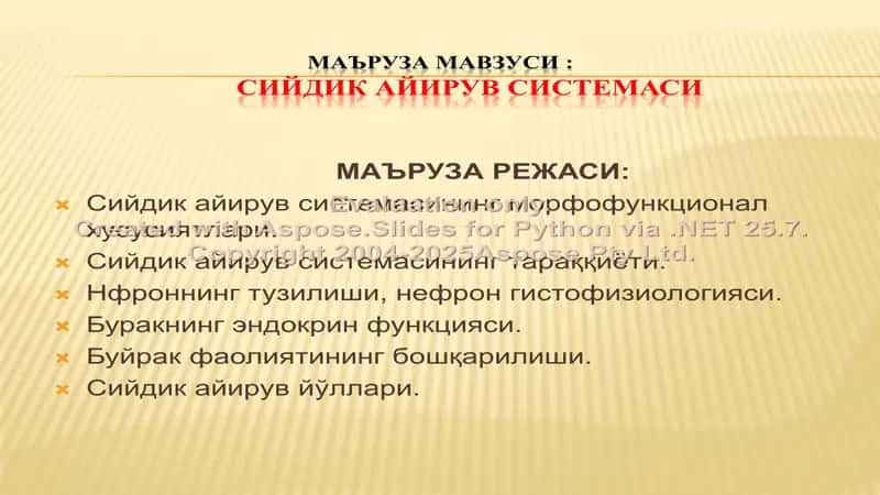 Сийдик айирув системаси