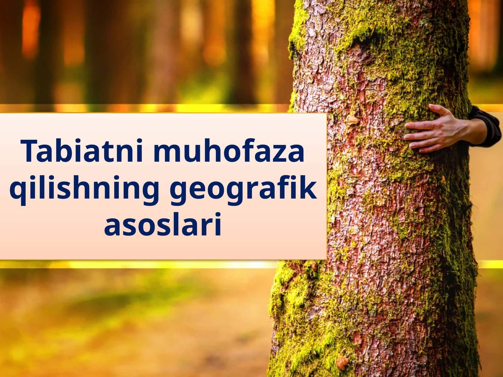 Tabiatni muhofaza qilishning geografik asoslari