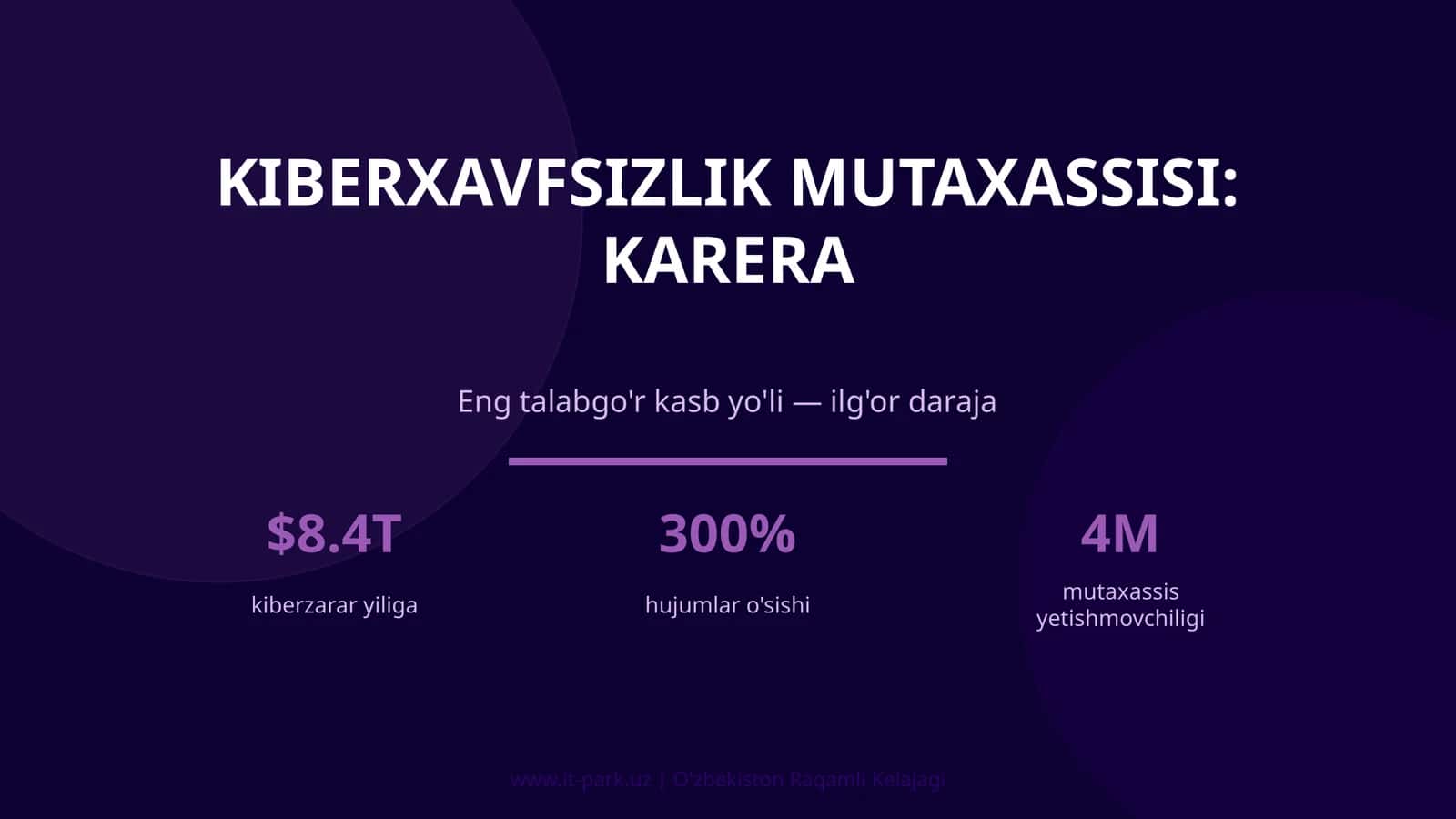 Kiberxavfsizlik mutaxassisi: karera