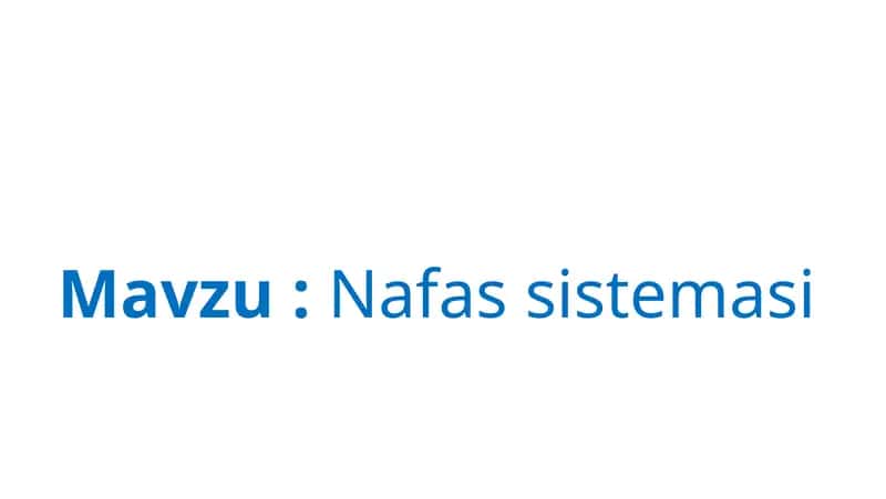 Nafas sistemasi
