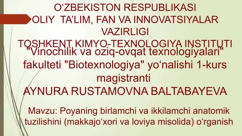 Poyaning birlamchi va ikkilamchi anatomik tuzilishini (makkajo‘xori va loviya misolida) o‘rganish