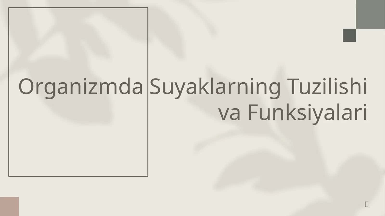 Organizmda Suyaklarning Tuzilishi va Funksiyalari