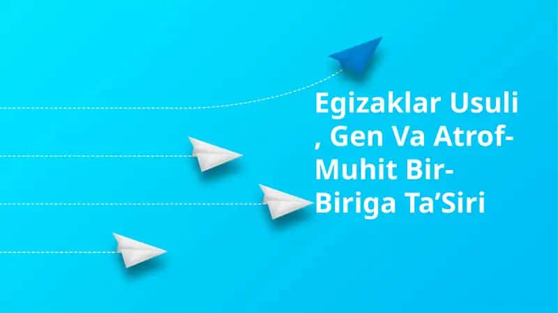Egizaklar Usuli, Gen Va Atrof-Muhit Bir-Biriga Ta’Siri