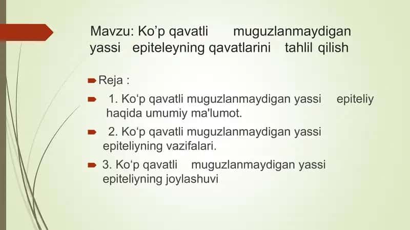 ko'p qavatli muguzlanmaydigan yassi epiteliy qavatlari