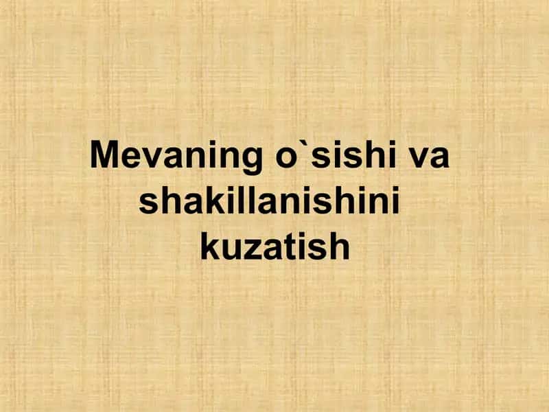 Meva bog'i ustida ishlar