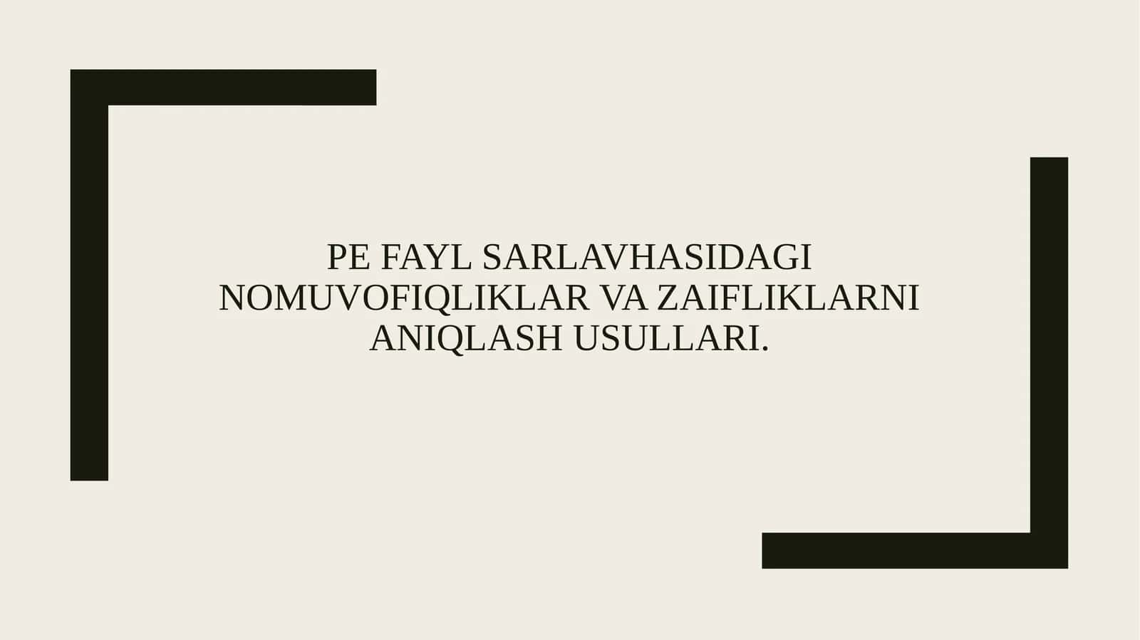 PE fayl sarlavhasidagi nomuvofiqliklar va zaifliklarni aniqlash usullari.