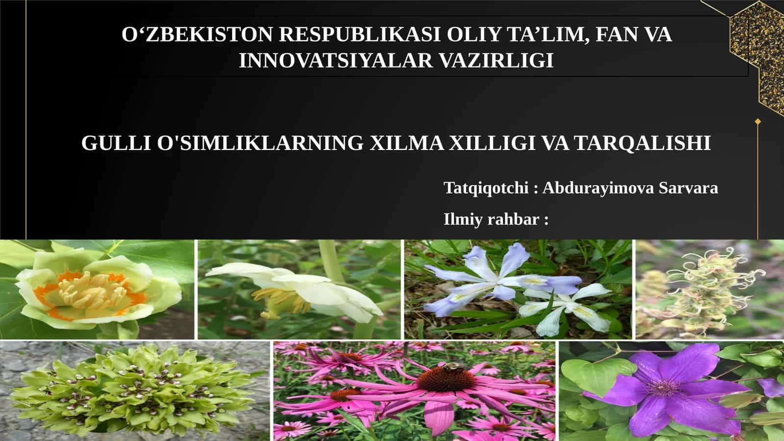 GULLI O'SIMLIKLARNING XILMA XILLIGI VA TARQALISHI