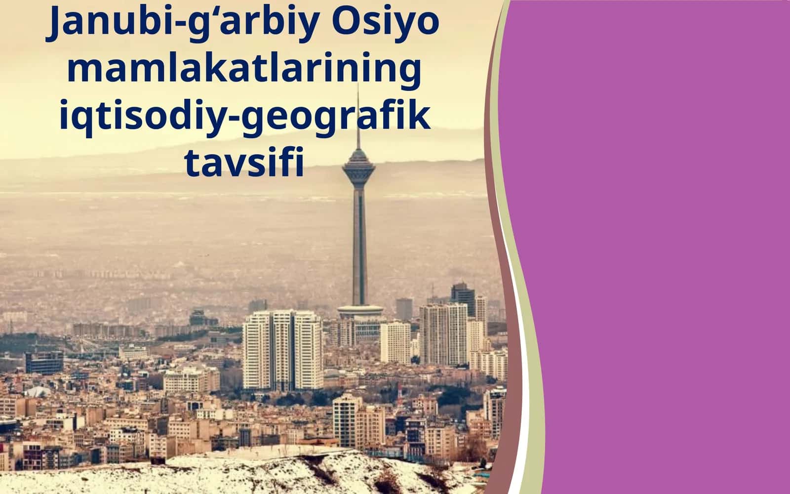Janubi-g‘arbiy Osiyo mamlakatlariningiqtisodiy-geografik tavsifi