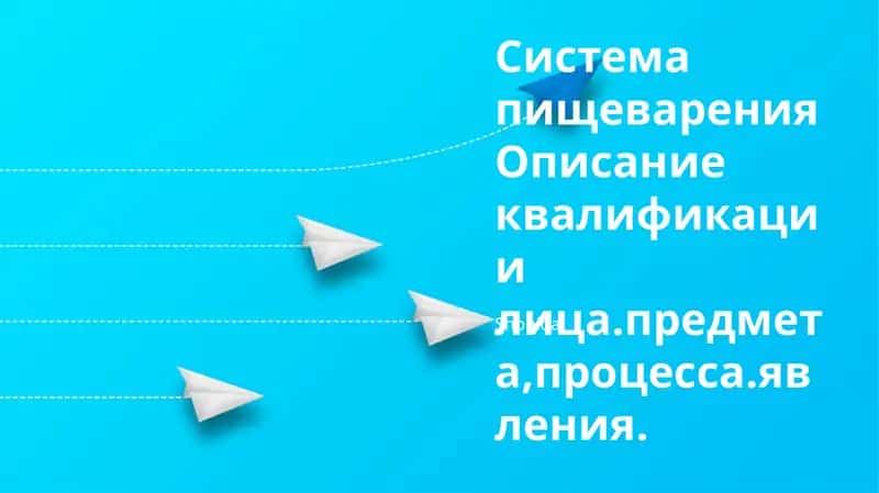 Система пищеварения: анатомия, физиология, заболевания, панкреатический сок 1