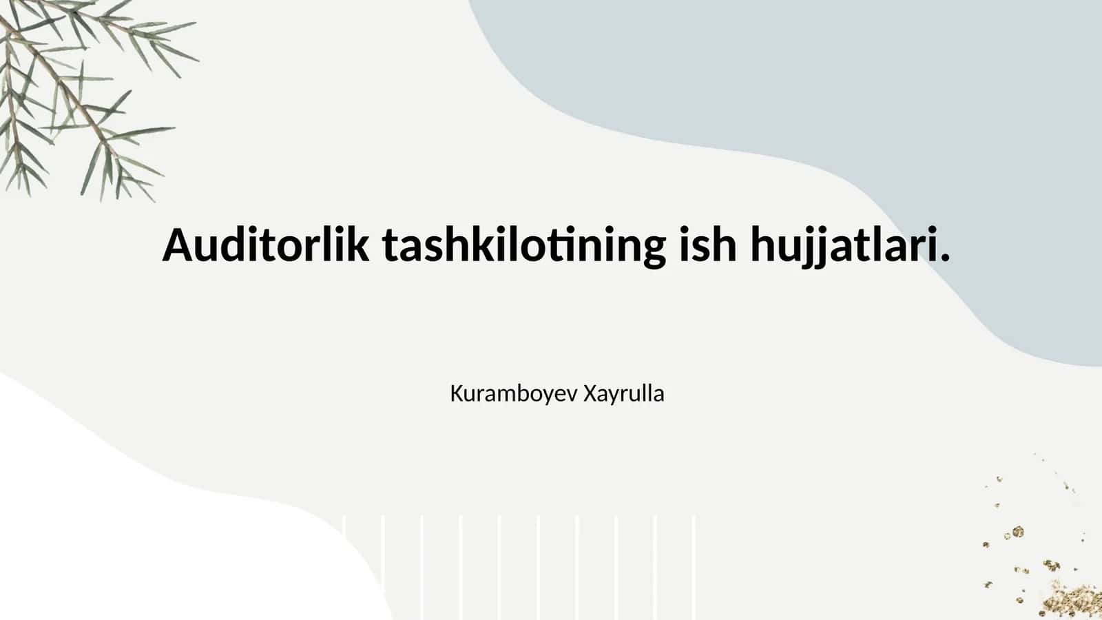 Auditorlik tashkilotining ish hujjatlari.