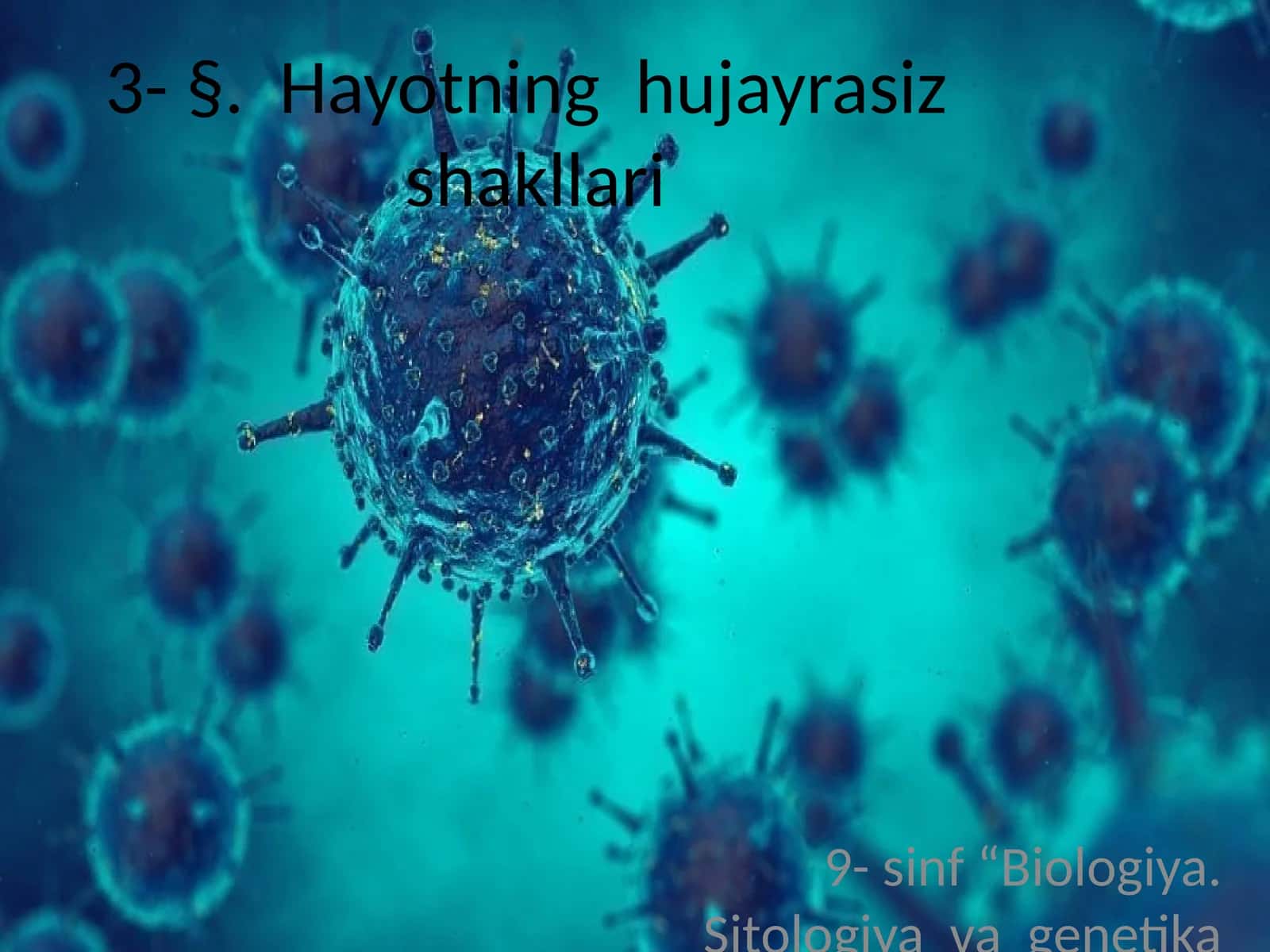 Viruslar