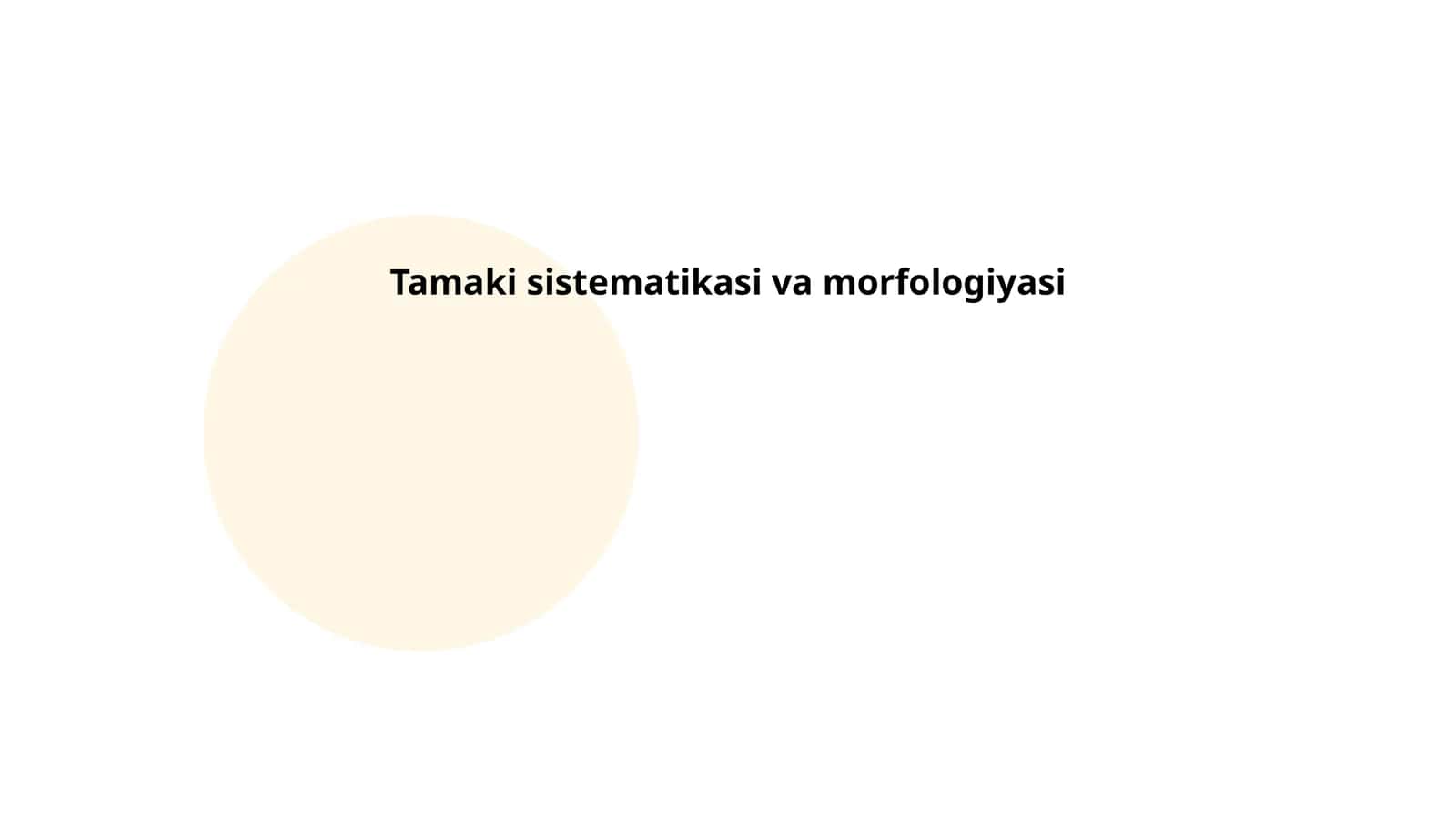 Tamaki sistematikasi va morfologiyasi