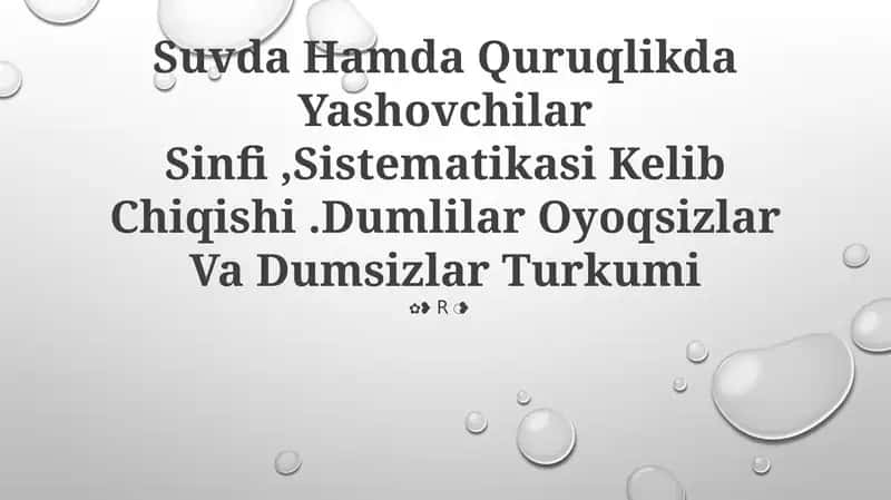 Suvda Hamda Quruqlikda Yashovchilar Sinfi