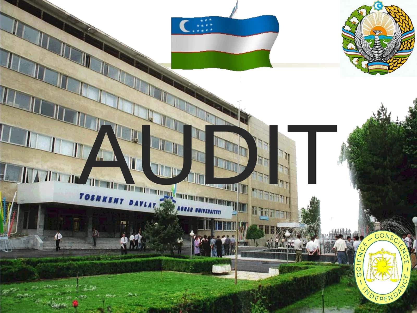 AUDIT