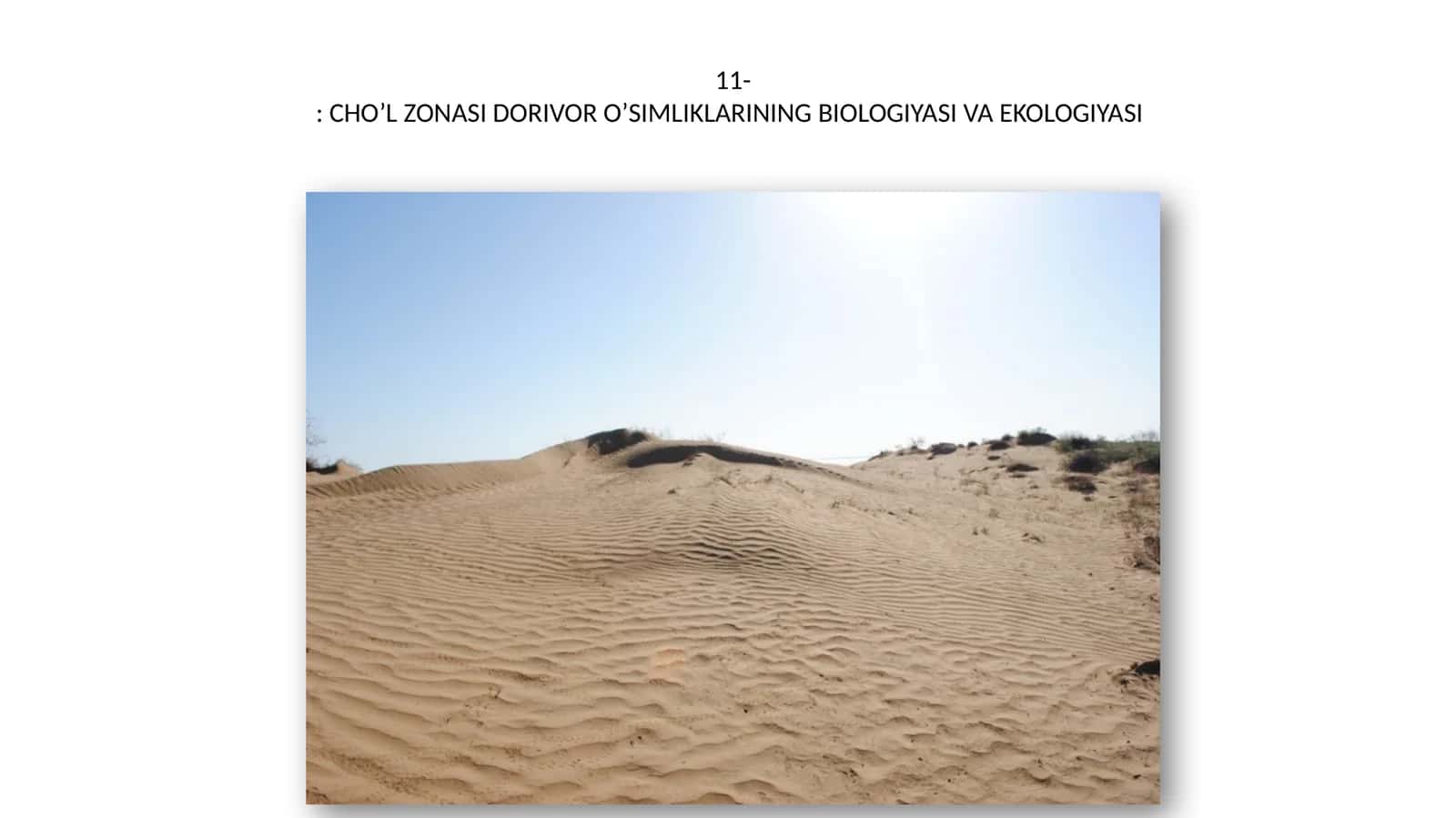CHO’L ZONASI DORIVOR O’SIMLIKLARINING BIOLOGIYASI VA EKOLOGIYASI
