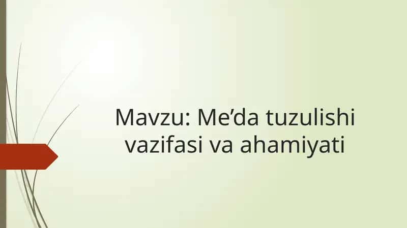 Me’da tuzulishi vazifasi va ahamiyati