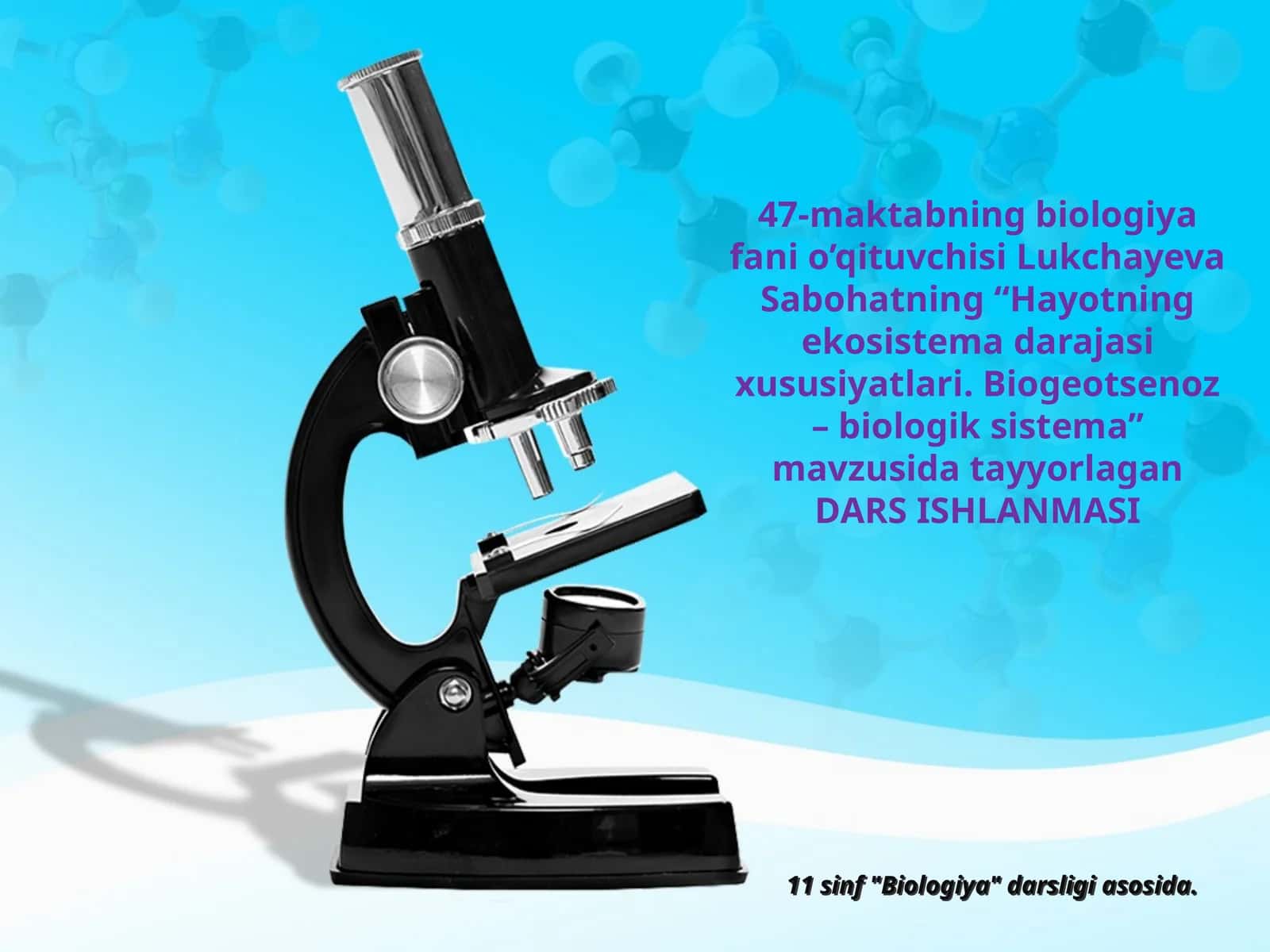 11-sinf Biologiya dars ishlanma. Hayotning ekosistema darajasi xususiyatlari. Biogeotsenoz - biologik sistema