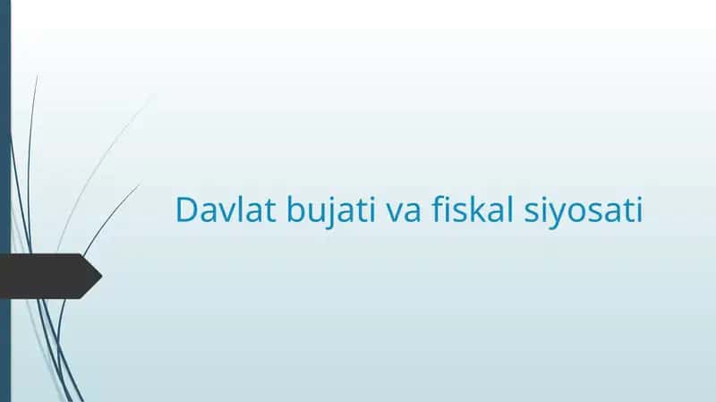 Davlat iqtisodiy siyosati