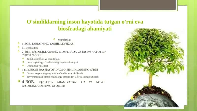 O'simliklarning inson hayotida tutgan o'rni eva biosfradagi ahamiyati.