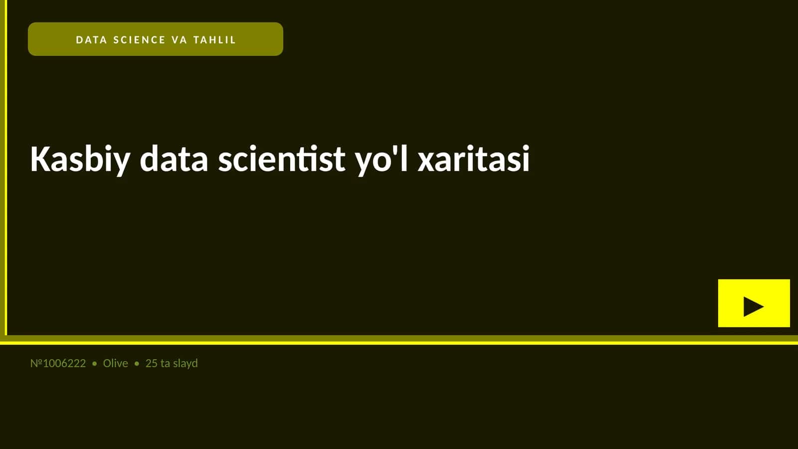 Kasbiy data scientist yo'l xaritasi